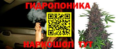 кристаллы Заводоуковск